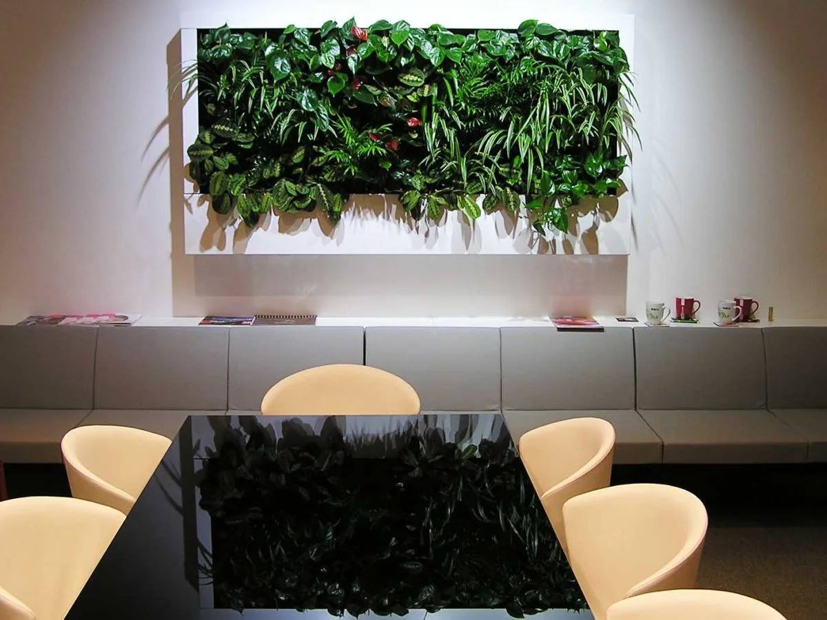 AG Foods, Brünn, Pflanzenbild - Pflanzenbild mit lebenden Pflanzen als Designelement im Innenraum AG Foods, Brünn - Pflanzenbild mit lebenden Pflanzen als Designelement im Innenraum