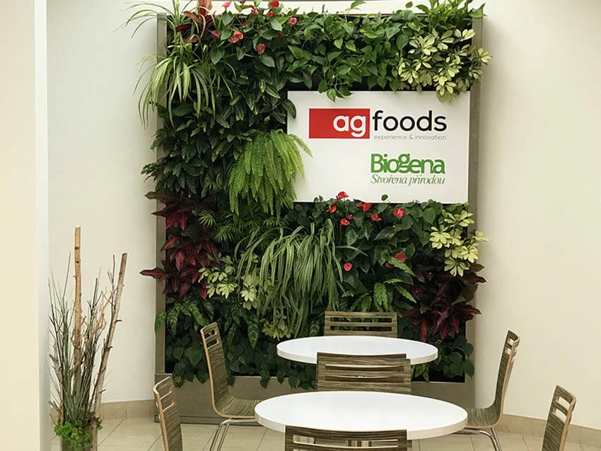 AG Foods, Košíkov, Blumenwand - Grüne Designwand mit lebenden Pflanzen AG Foods, Košíkov - Grüne Designwand mit lebenden Pflanzen