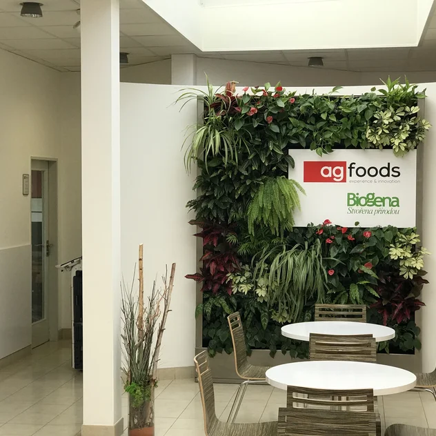 AG FOODS Košíkov - grüne Wand im Innenraum mit Blumen