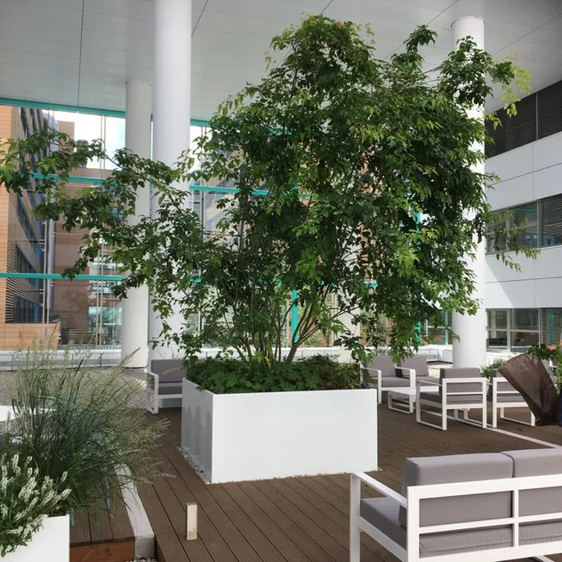 EFH Dolní Kounice - Umsetzung von Dachbeeten auf der Terrasse eines Bürogebäudes