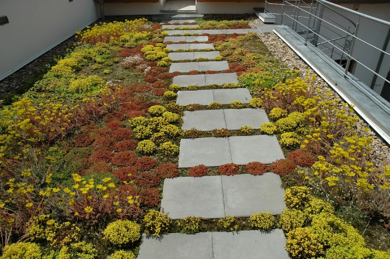 EON, Prag Smíchov, Blumenwand - Naturnaher Dachgarten mit individueller Bepflanzung EON, Prag Smíchov - Naturnaher Dachgarten mit individueller Bepflanzung