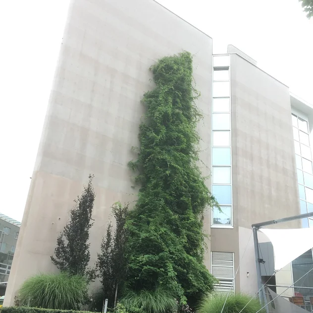 Holiday Inn Brünn - moderne Fassadenbegrünung für Gebäude
