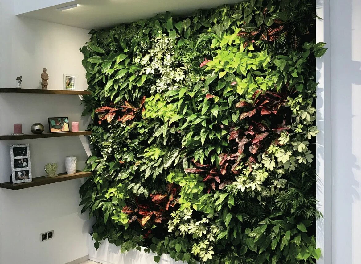 Luxuriöse grüne Wand mit automatischer Pflege und Bewässerung Luxuriöse grüne Wand mit automatischer Pflege und Bewässerung