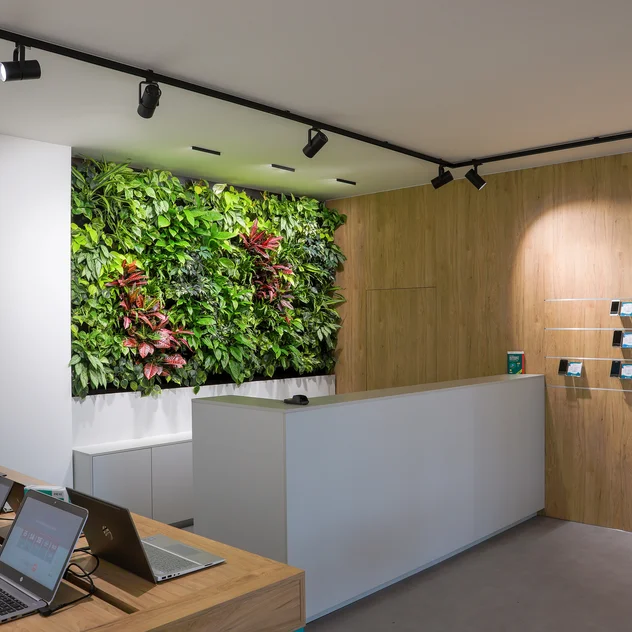 Počítárna Brünn - Design-Blumenwand fürs Büro