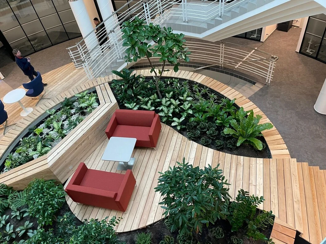 Techo, Prag, lebende Raumteiler - Maßgefertigtes Design-Pflanzgefäß, abgestimmt auf das Interieur Techo, Prag - Maßgefertigtes Design-Pflanzgefäß, abgestimmt auf das Interieur